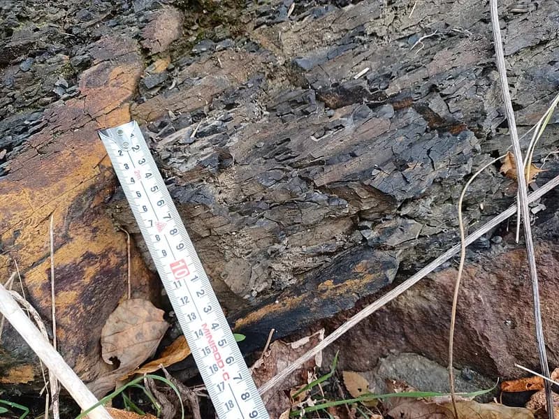 松江市恵曇漁港の釣り場