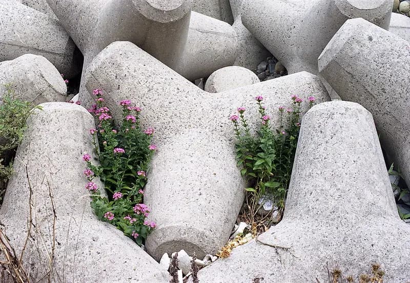松江市美保関の釣り場
