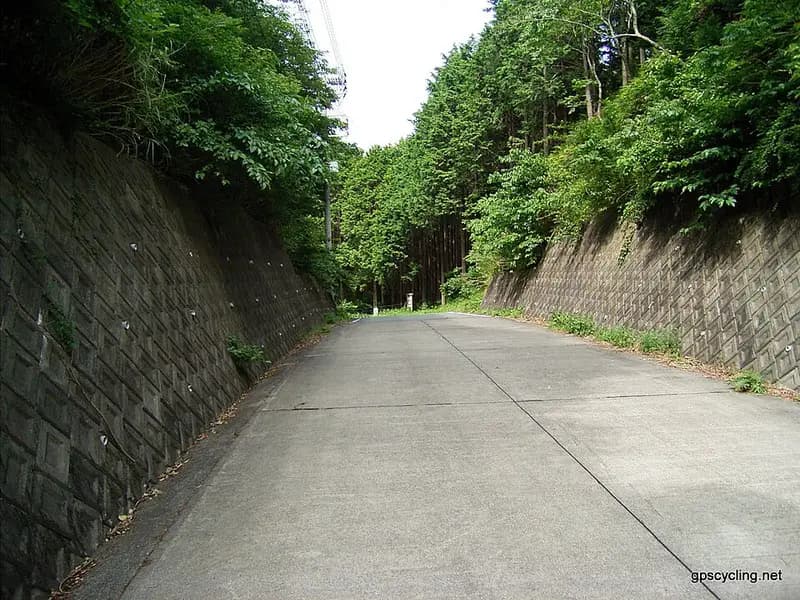 妻良港の釣り場