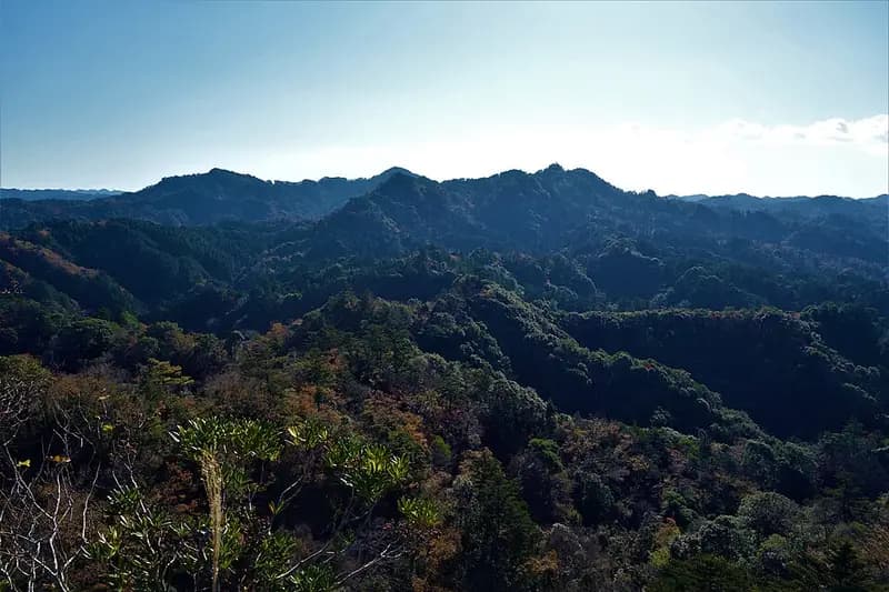 三島湖の釣り場