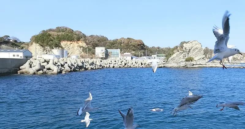 宮川港の釣り場