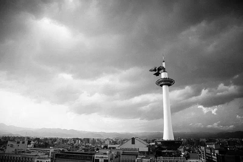 美山川の釣り場