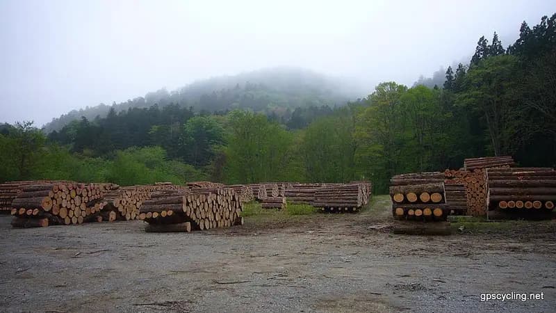 むつ市大畑漁港の釣り場