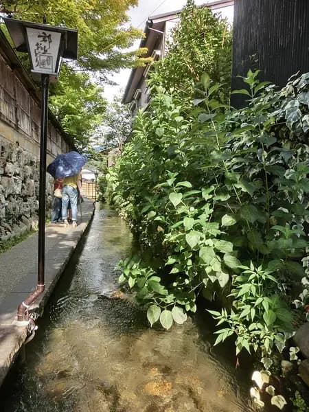 長良川(郡上八幡)の釣り場