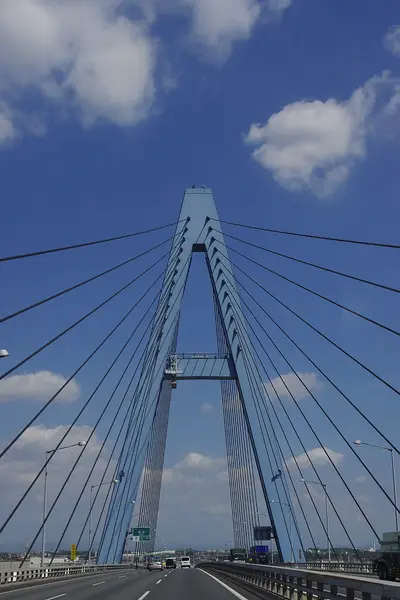 名古屋港9号地堤防の釣り場