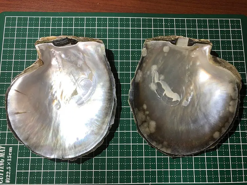 中城湾の釣り場