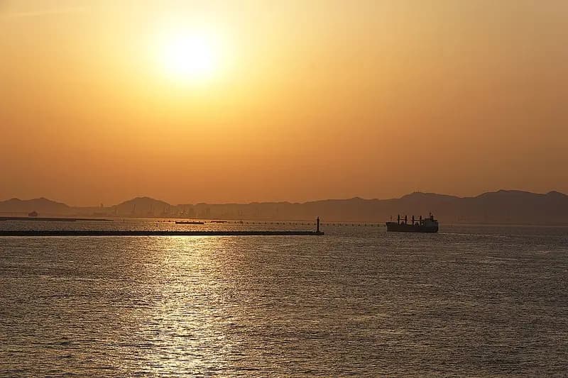 南港魚つり園護岸の釣り場