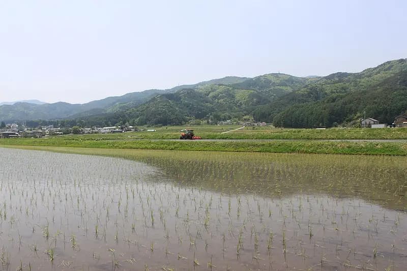 奈良井川の釣り場