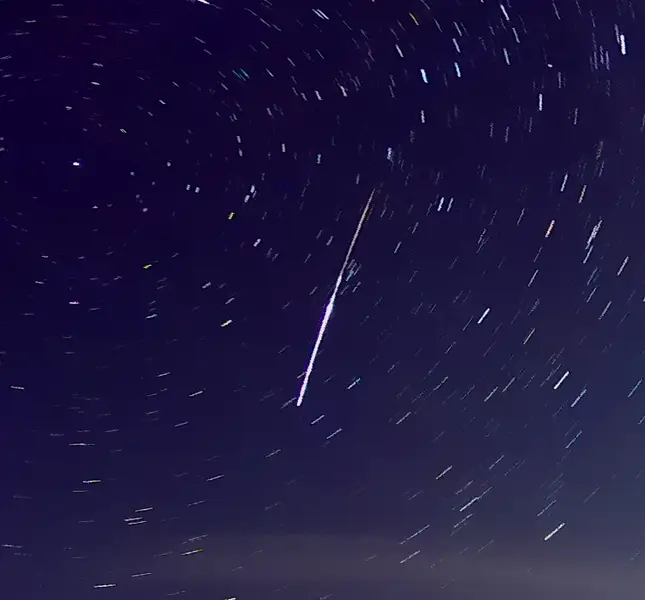 夏泊半島椿山海岸の釣り場