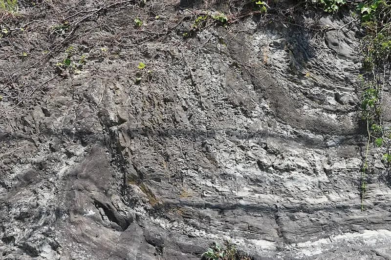 二町谷港の釣り場