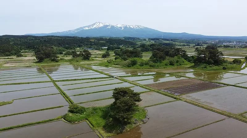 にかほ市金浦漁港の釣り場