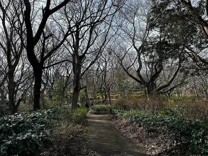 二宮海岸の釣り場