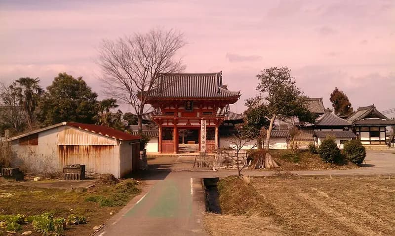 西の湖(琵琶湖内湖)の釣り場