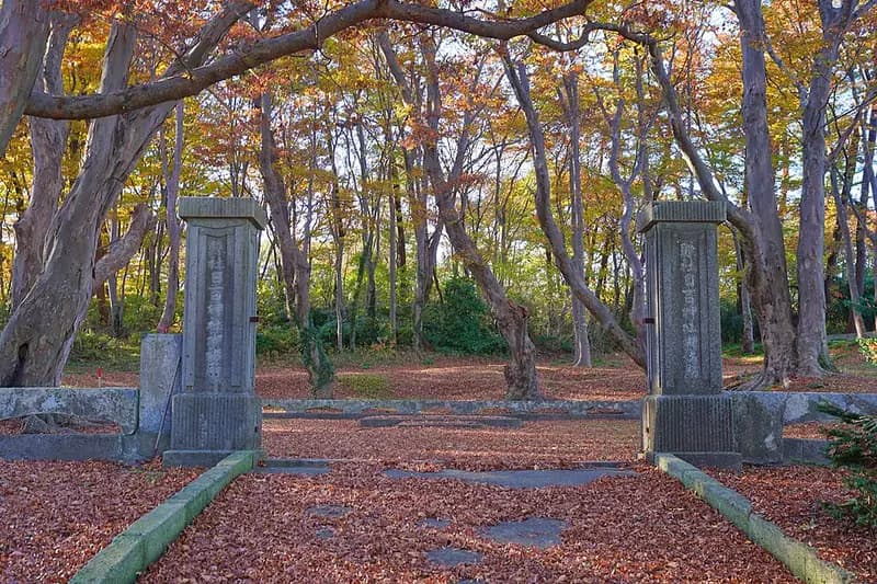 能代港の釣り場