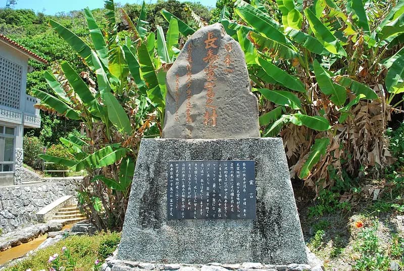 大宜味村塩屋湾の釣り場