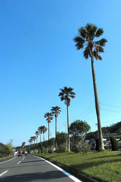 御前崎港堤防の釣り場
