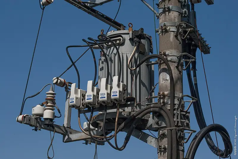 大井ふ頭中央海浜公園の釣り場