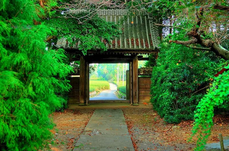 大井川下流(島田〜焼津)の釣り場