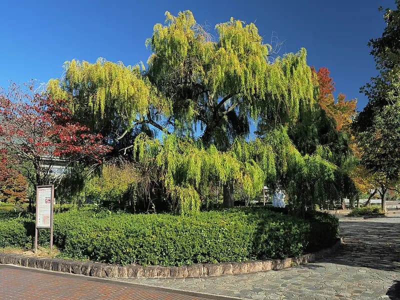 太田川下流(広島市)の釣り場
