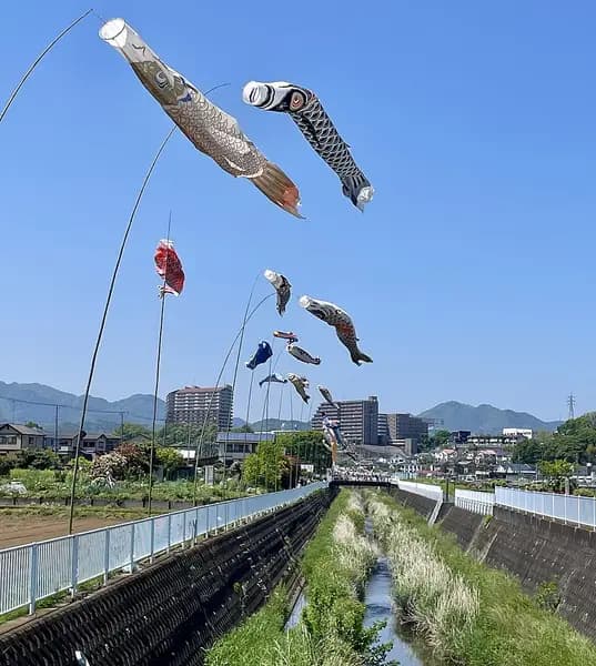 相模川(鮎釣りエリア)の釣り場