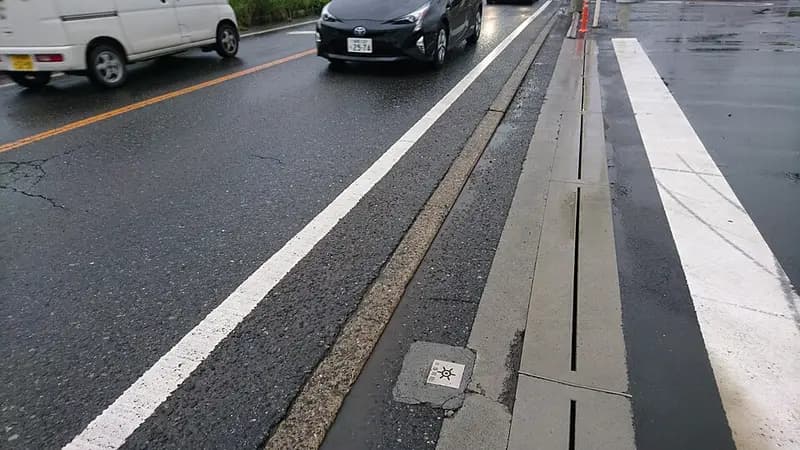 彩湖(荒川調節池)の釣り場