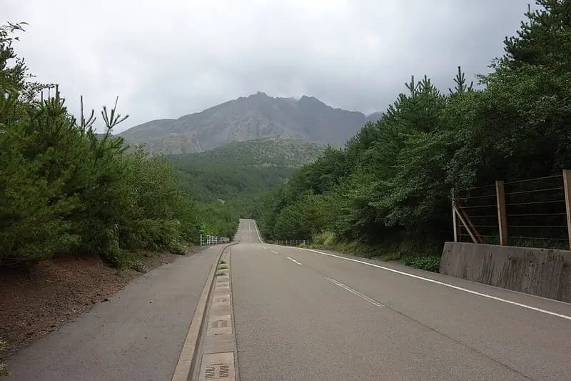 桜島フェリー港(桜島側)の釣り場