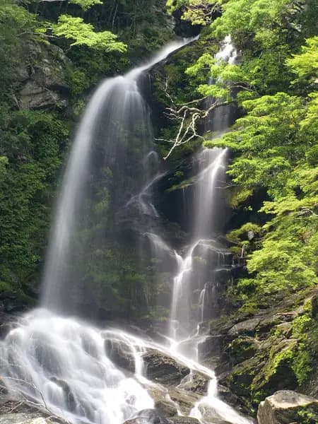 早明浦ダムの釣り場
