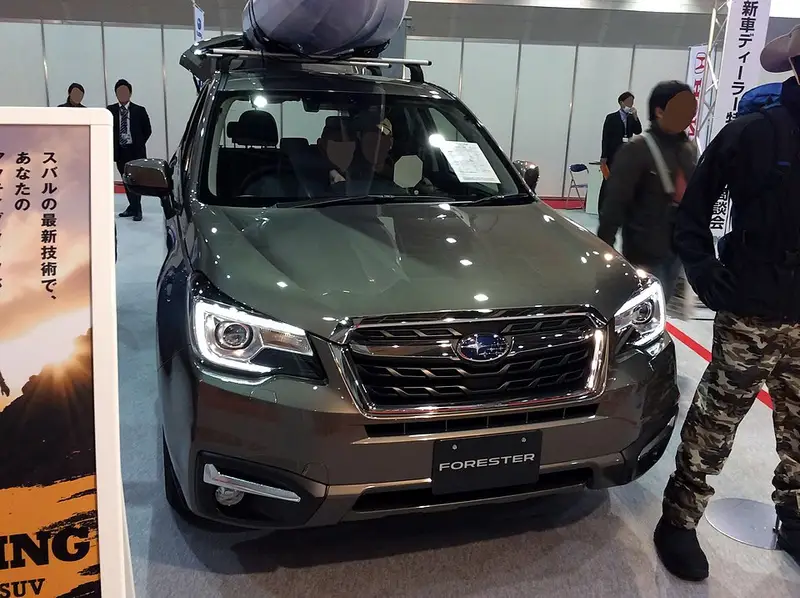 シーサイドコスモ(魚釣り開放区域)の釣り場