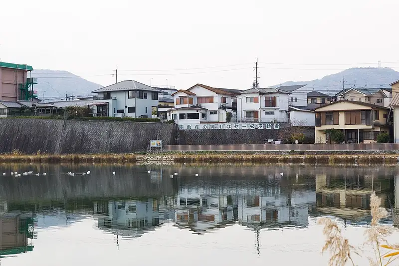 瀬田川(南郷洗堰〜石山)の釣り場