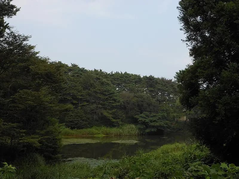 七ヶ浜花渕浜漁港の釣り場
