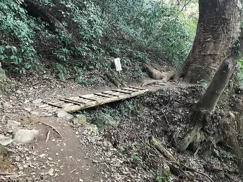 志賀島弘漁港堤防の釣り場
