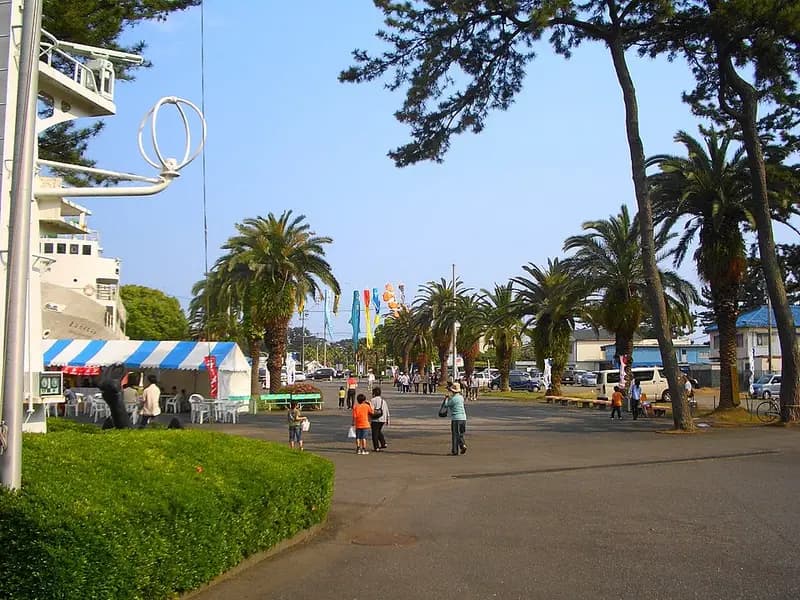 清水港日の出埠頭の釣り場