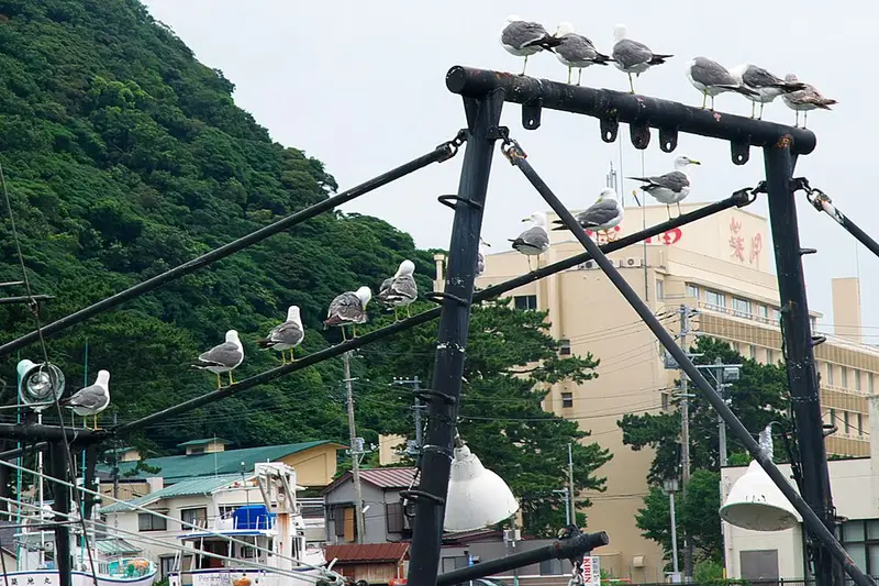 下田港堤防の釣り場