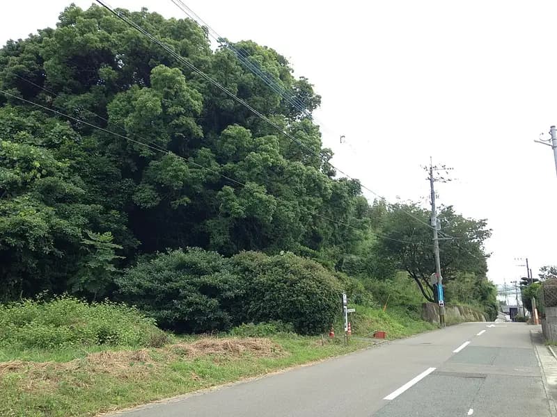 新宮漁港堤防の釣り場