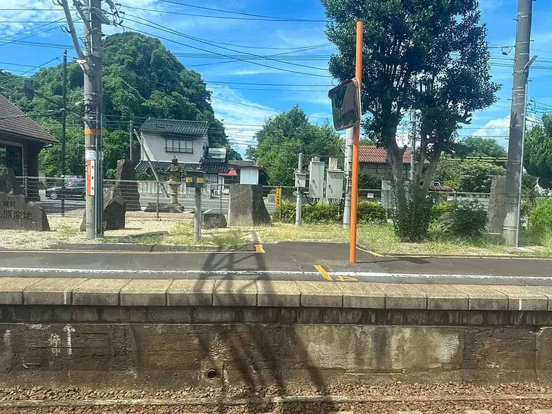 宍道湖(詳細・シーバス)の釣り場