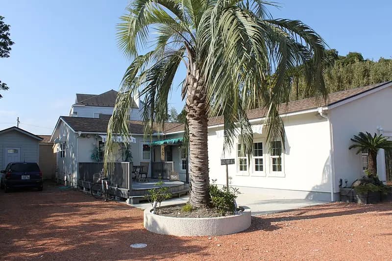 白子海岸サーフの釣り場