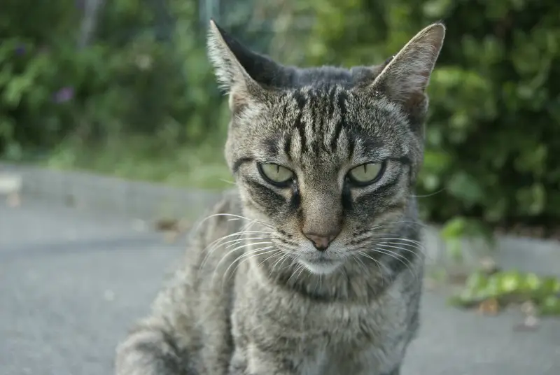 湘南港北緑地広場の釣り場