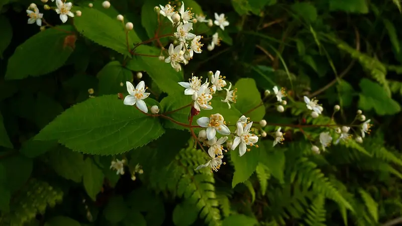 宿田曽港堤防の釣り場