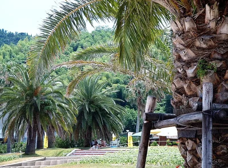 周防大島・片添ヶ浜の釣り場