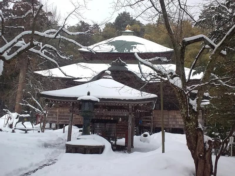 田井漁港の釣り場