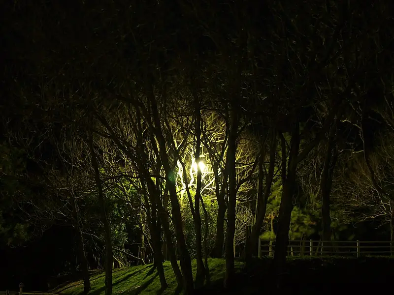 寺泊港の釣り場