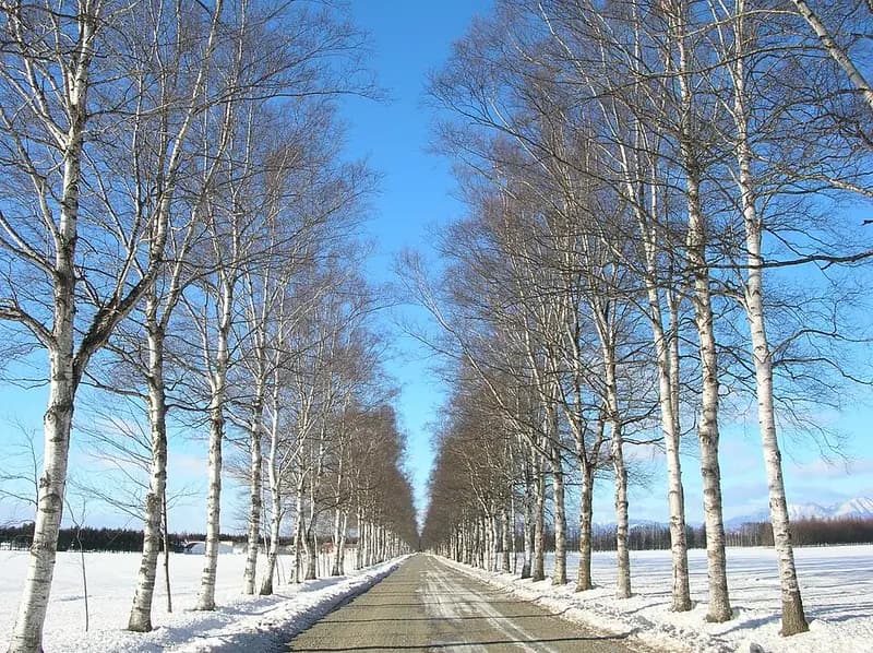 十勝川上流域の釣り場
