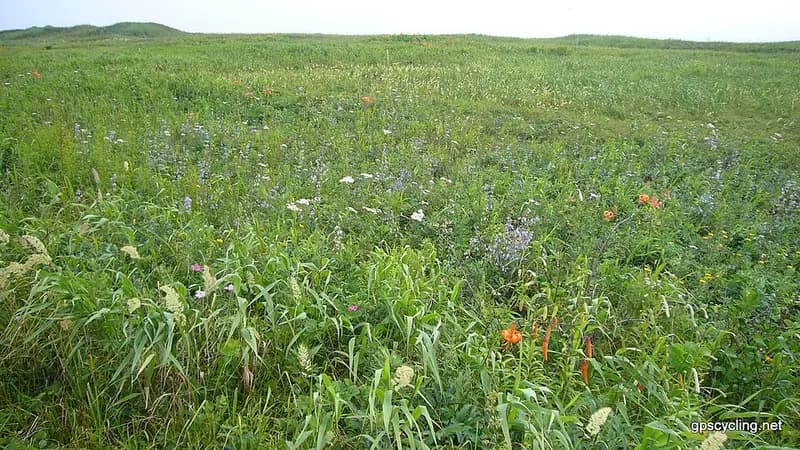 苫小牧東港の釣り場