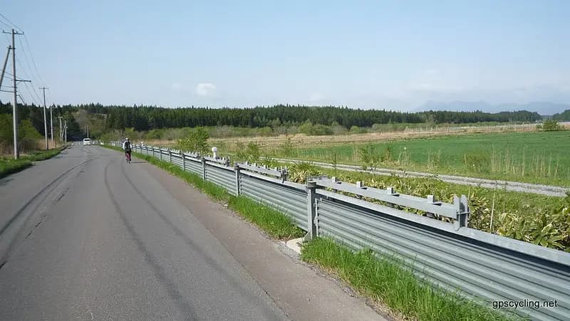 泊漁港の釣り場
