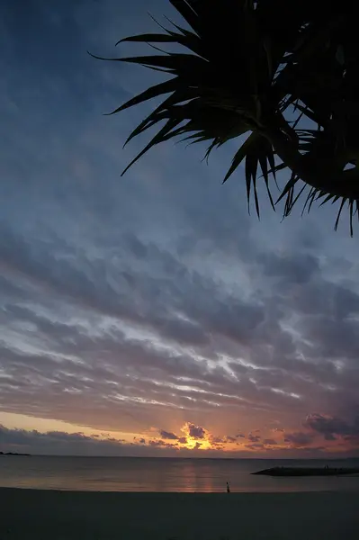 豊見城瀬長島の釣り場