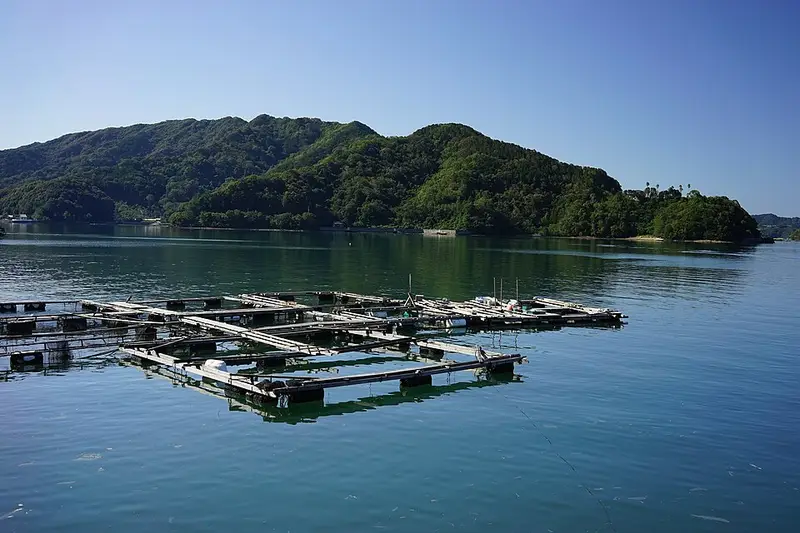 土佐市宇佐港の釣り場