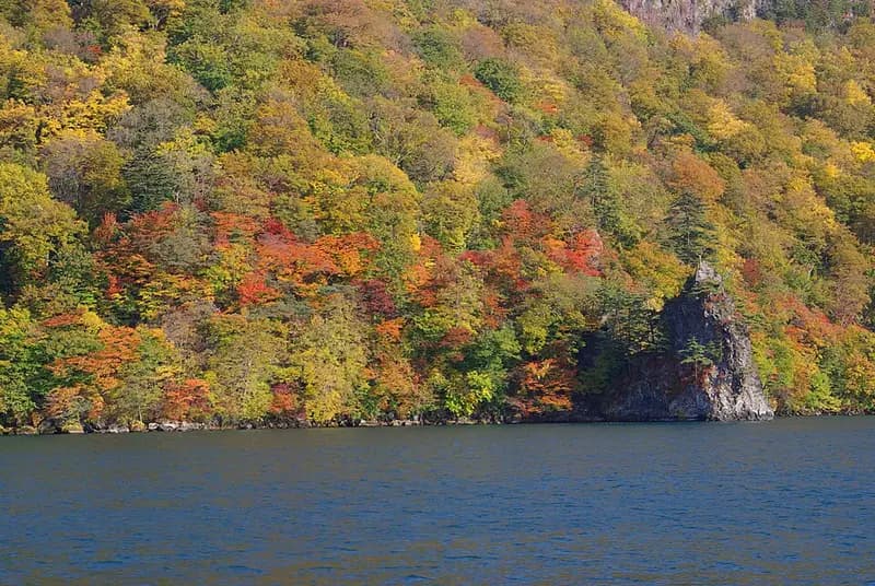十和田湖の釣り場