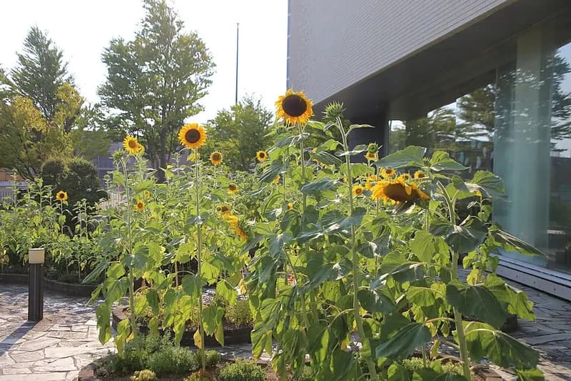 豊川下流(豊橋〜豊川市)の釣り場
