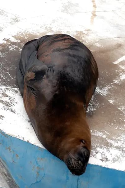 鶴岡市由良海岸の釣り場