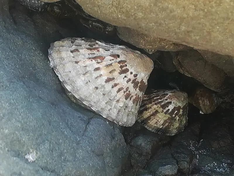 和深漁港の釣り場